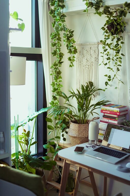 Easy Ways to Add Nature to Your Workspace for a Calmer Day